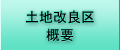 ynǋTv