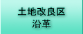 ynǋ扈v