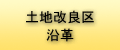 ynǋ扈v